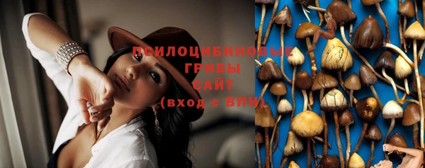 MDMA Premium VHQ Новокубанск