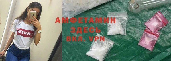 ПСИЛОЦИБИНОВЫЕ ГРИБЫ Няндома