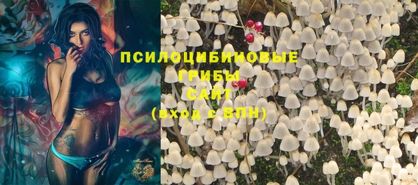 мяу мяу мука Новодвинск
