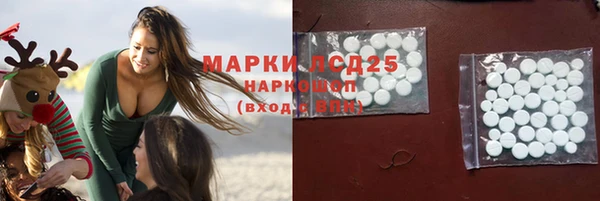 мяу мяу мука Новодвинск