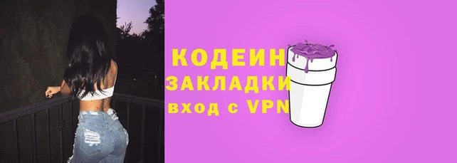 ПСИЛОЦИБИНОВЫЕ ГРИБЫ Няндома