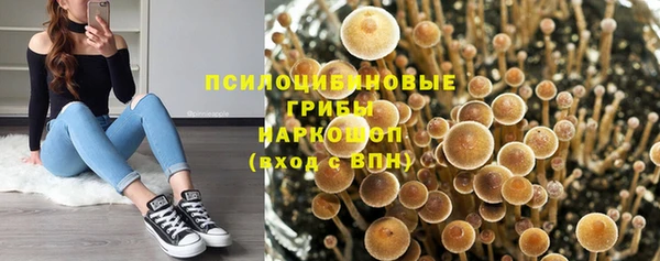 мяу мяу мука Новодвинск