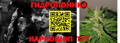 твердый Кандалакша