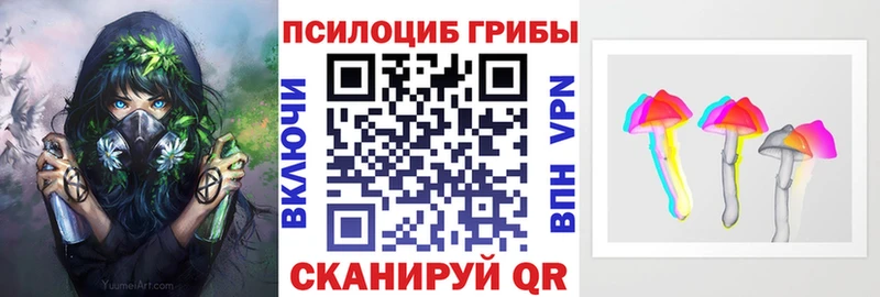 Галлюциногенные грибы Magic Shrooms  цены наркотик  Новодвинск 