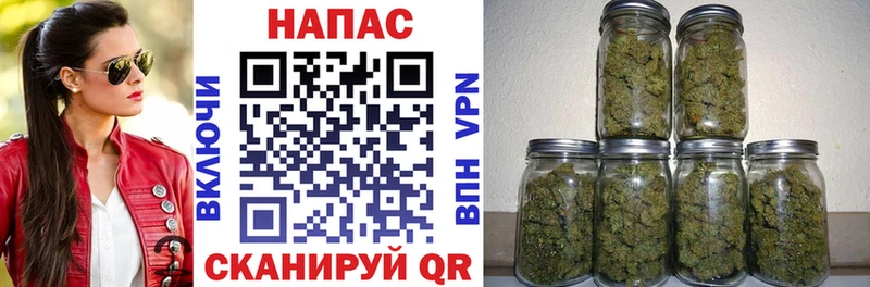 сайты даркнета наркотические препараты  Новодвинск  Бошки марихуана семена 